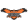 AUM Warhawks (Nữ)
