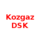 Kozgaz DSK (Nữ)