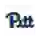 Питтсбург Пантерз (жен)