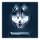 Connecticut Huskies (Women)