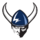 Western Washington Vikings