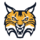 Đội bóng Quinnipiac Bobcats