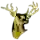 San Sebastian Golden Stags (Jóvenes)