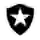 Botafogo U19