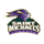 Saint Michael's Purple Knights