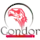 Кондор Яунде