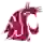 Washington State Cougars