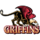 Gwynedd-Mercy Griffins