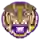 Đội nữ LSU Tigers