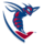 Shenandoah Hornets