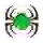 Hornsby Spiders (Women)