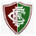 Fluminense Piaui
