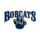 Pittsburgh Greensburg Bobcats