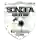 Songea United