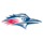 Metropolitan State Roadrunners (Women)