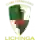 Ferroviario Lichinga