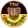 TSV Grafenstein