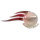 Công chức (Nữ)