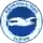 Brighton & Hove Albion (Labradorcheto)