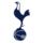 Tottenham Hotspur (WBoy)