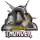 Dunedin Thunder