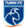 Turin FESA