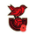 Bridgwater United (Women)