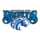 Fayetteville State Broncos