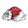Gardner–Webb Runnin' Bulldogs (Women)