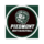 Piedmont Lions