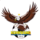 team_logo