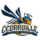 Cedarville Yellow Jackets (Nữ)