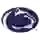 Penn State Shenango Nittany Lions