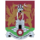 Northampton Town Lfc (Phụ nữ)