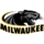 Wisconsin Milwaukee Panthers (Women)