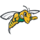 Đội Bóng Nữ Yellow Jacket Black Hills