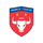 Cheadle Town Stingers Wfc (Nữ
