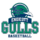 Endicott Gulls