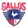 Gallos FC