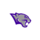 Kentucky Wesleyan Panthers
