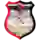 KF Drenasi