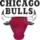 Chicago Bulls (SLAMDUNKVV)
