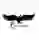 Carleton Ravens