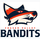 Đội bóng Fraser Valley Bandits