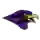 Montevallo Falcons