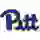 Питтсбург Пантерз