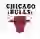 Chicago Bulls (Jimmy_Walker13)