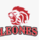 Leones de Santo Domingo