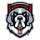 D'Youville Saints (Women)