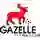 Gazelle FC